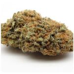 Шишки AK47  (Гидропоника, Бошка) VHQ в Рязани